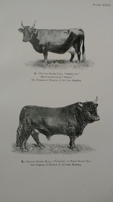 From &quot;Farm Livestock of Great Britain&quot;, Wallace, 1909